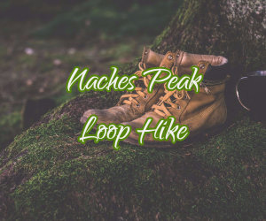 Naches Peak Loop Hike image